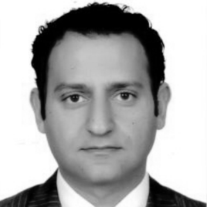 Tamer Waguih Naguib